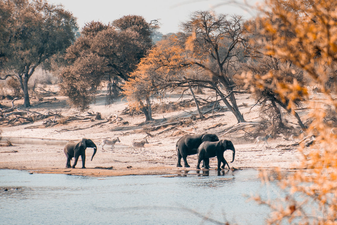 Boteti River Botswana